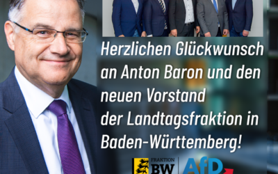 Neuer Vorstand der Landtagsfraktion Baden-Württemberg